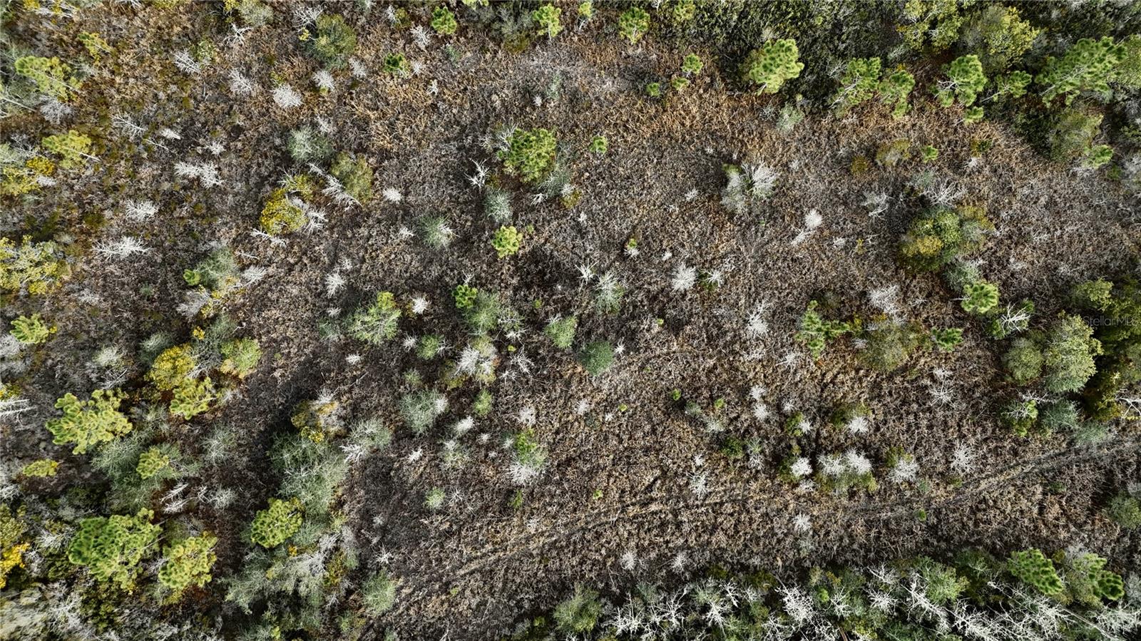 Image 21 of 36 For 00 W Market Road