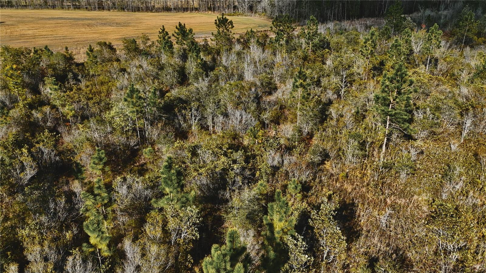 Image 8 of 36 For 00 W Market Road