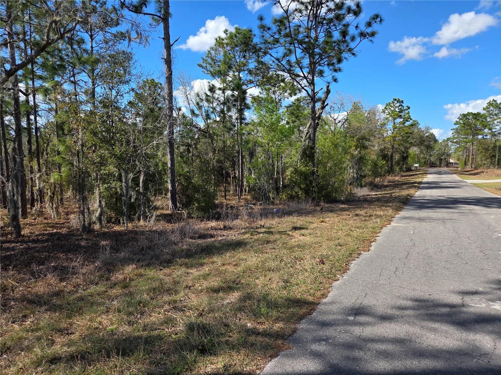 Image 3 of 6 For Tbd 14th Place