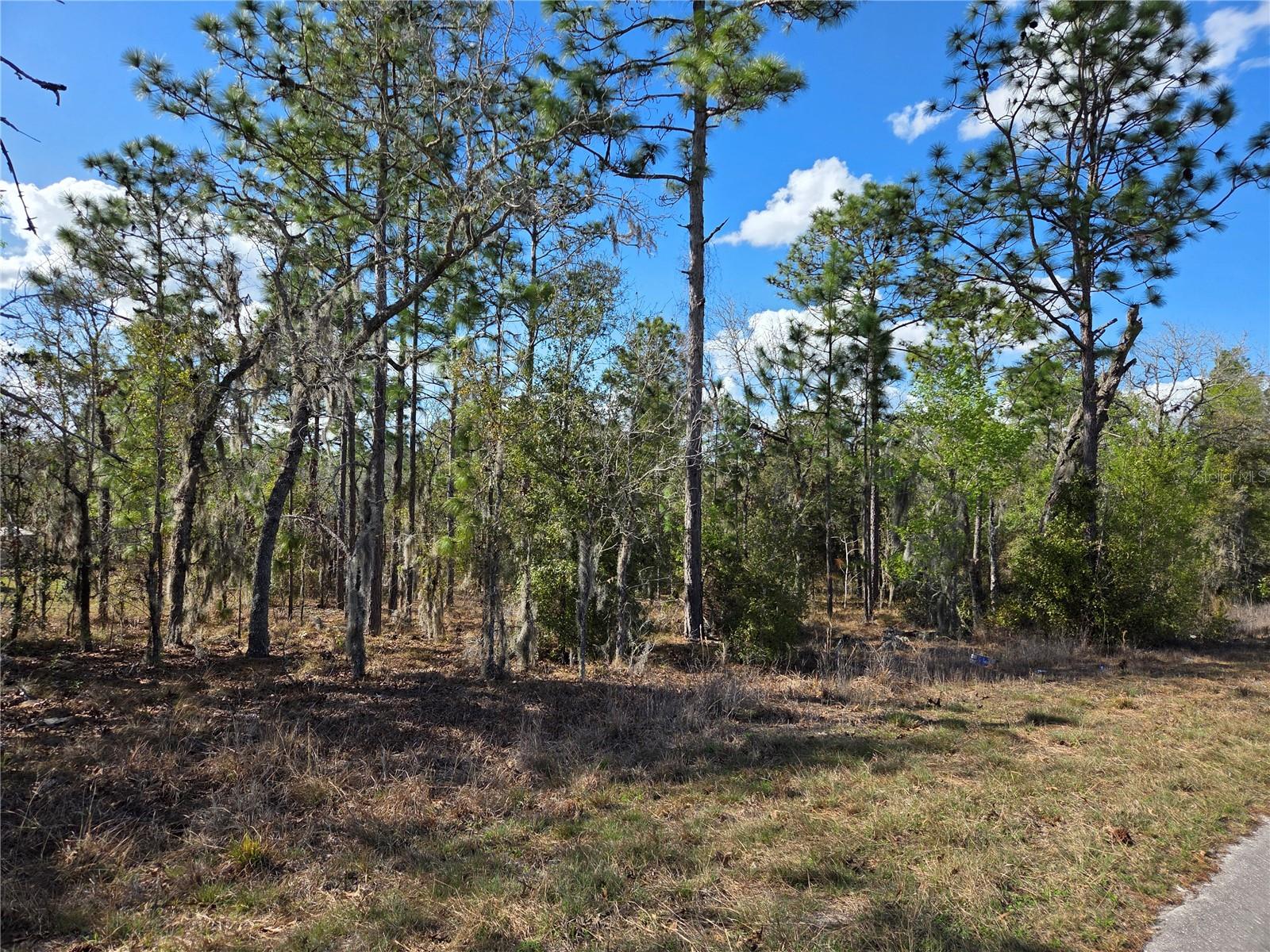 Image 4 of 6 For Tbd 14th Place