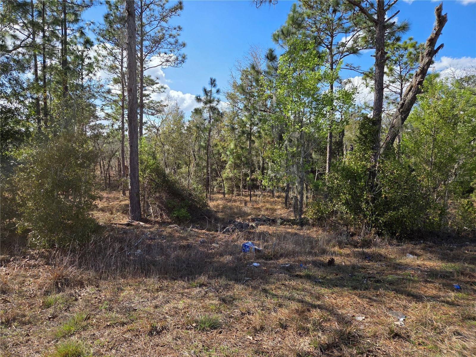 Image 5 of 6 For Tbd 14th Place