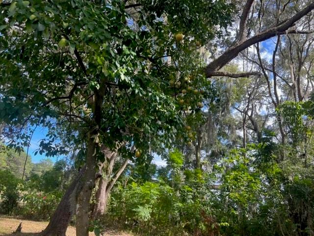 Image 11 of 11 For 9650 Us Highway 441