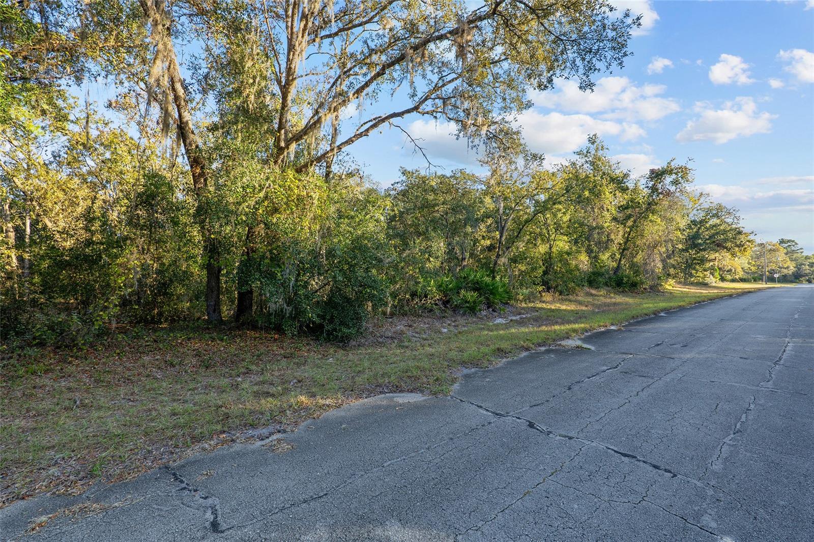 Details for Tbd 174 Place, OCALA, FL 34473