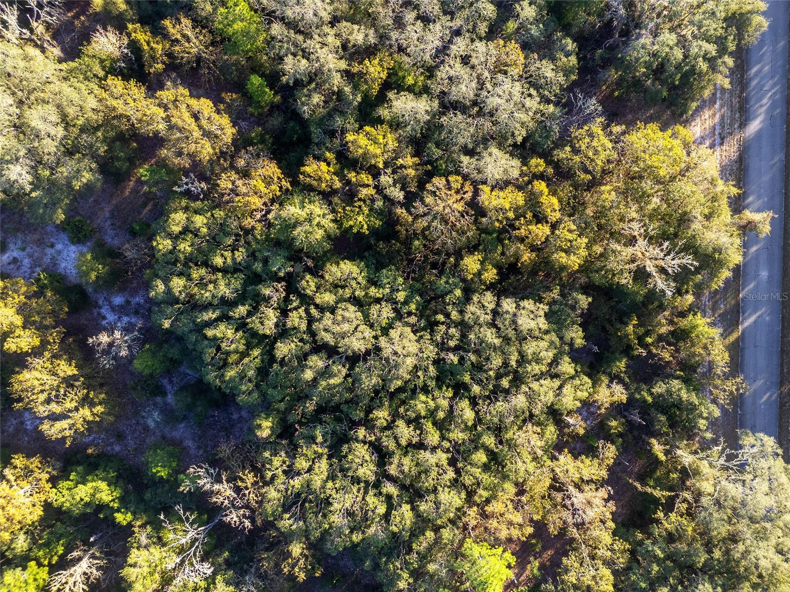 Image 10 of 10 For Tbd 174 Place