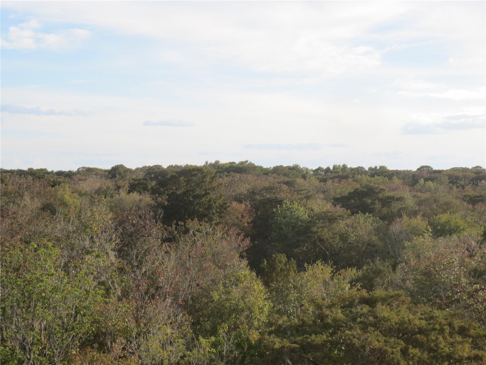 Image 48 of 82 For 18640 22nd Lane