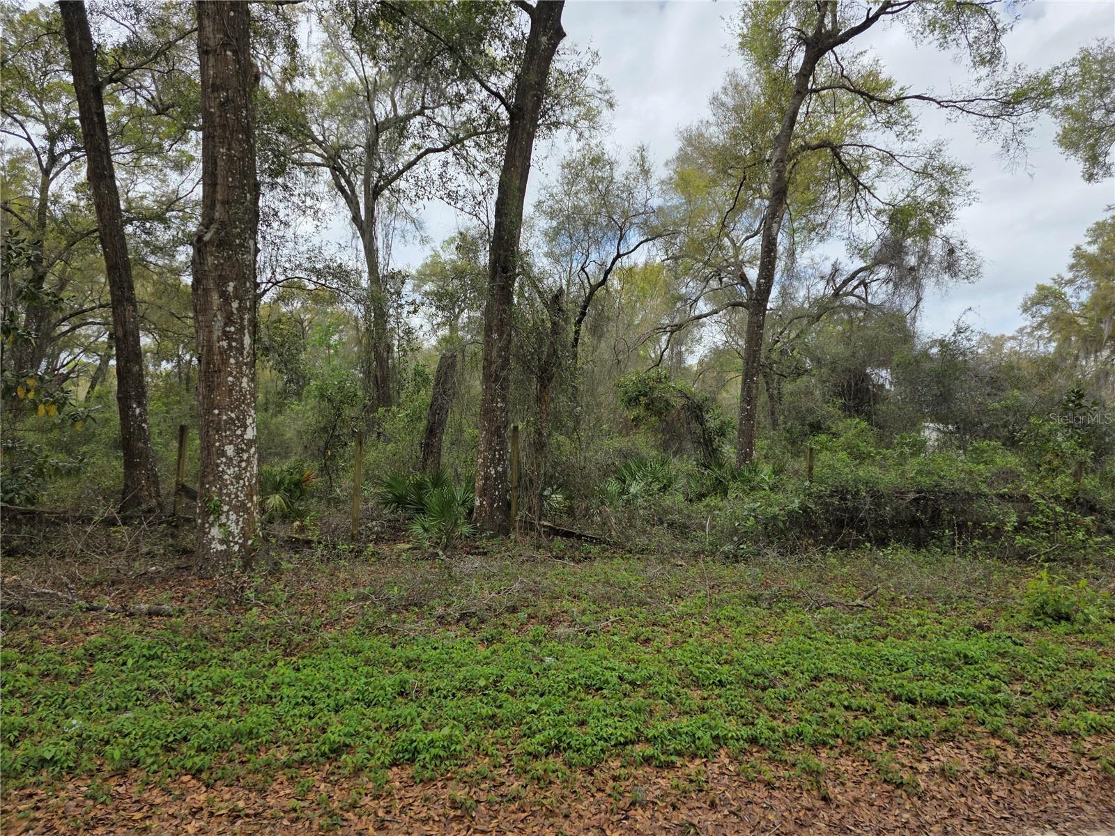 Image 6 of 8 For 00 30th Avenue