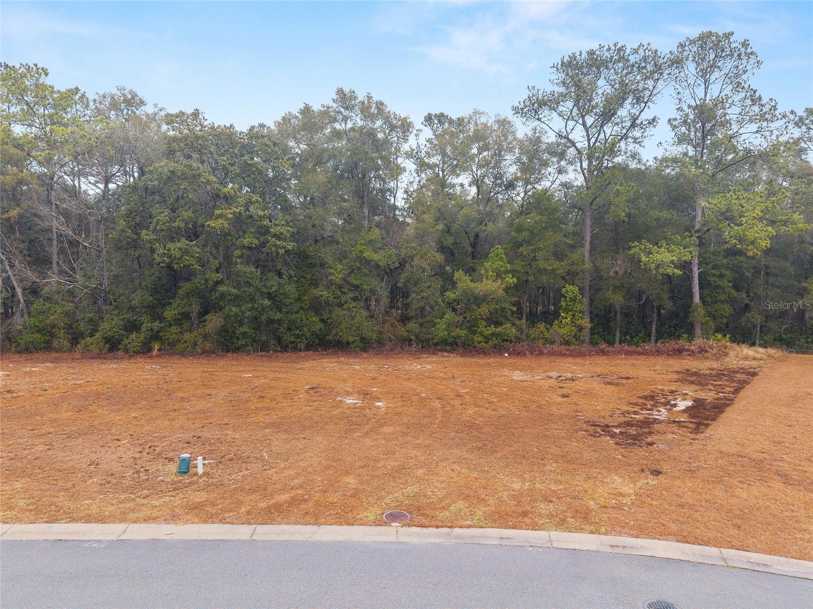 Image 6 of 22 For Tbd 58th Circle