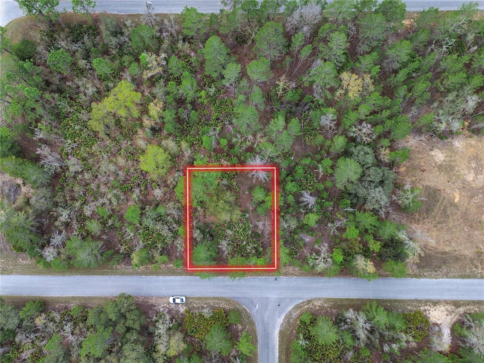 Details for Tbd Malauka Lane, OCKLAWAHA, FL 32179