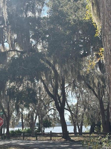 Details for 25146 140th Loop 71, SALT SPRINGS, FL 32134