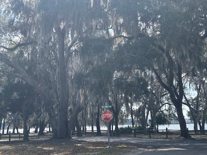 Image 6 of 18 For 25146 140th Loop 71