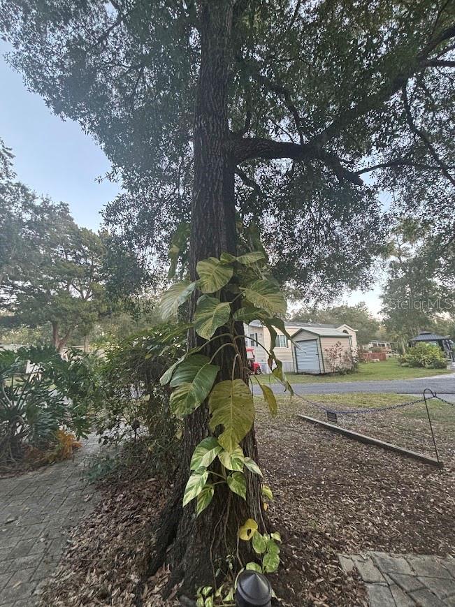 Image 7 of 37 For 25203 141st Lane 254