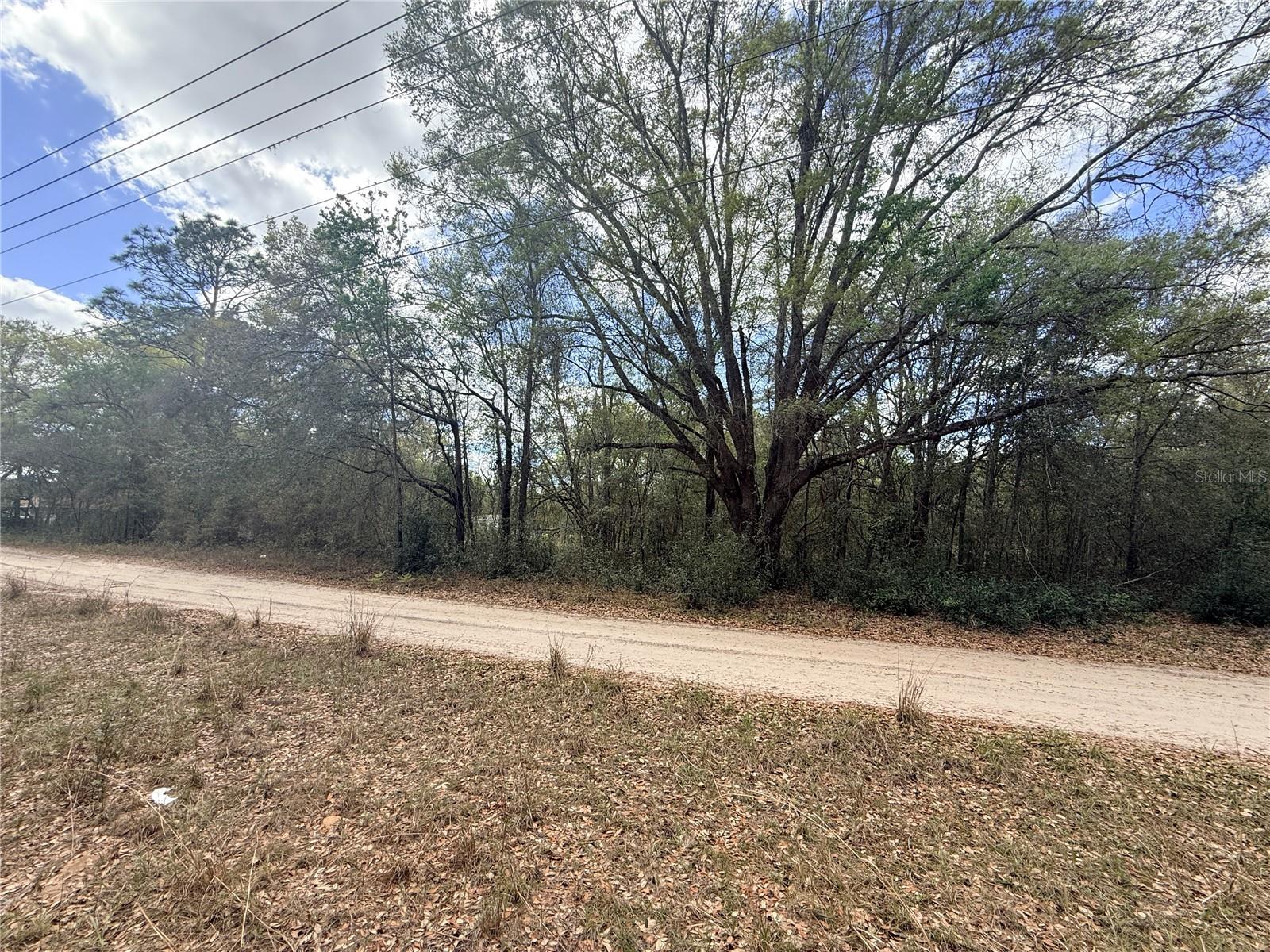 Image 3 of 7 For Lots 31-33 52nd Avenue