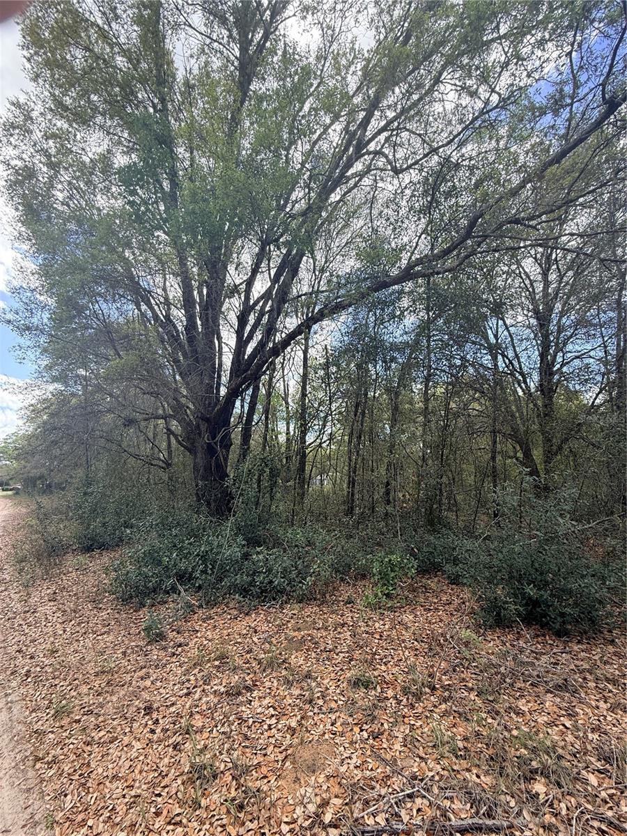 Image 5 of 7 For Lots 31-33 52nd Avenue