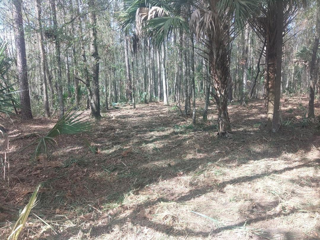 Details for 18954 County Rd 329, MICANOPY, FL 32667