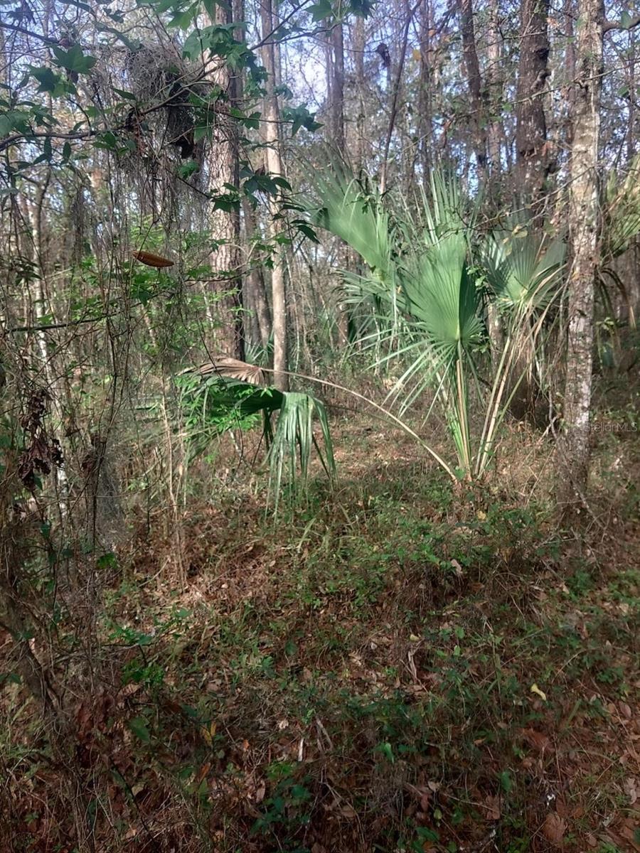 Image 3 of 9 For 18954 County Rd 329