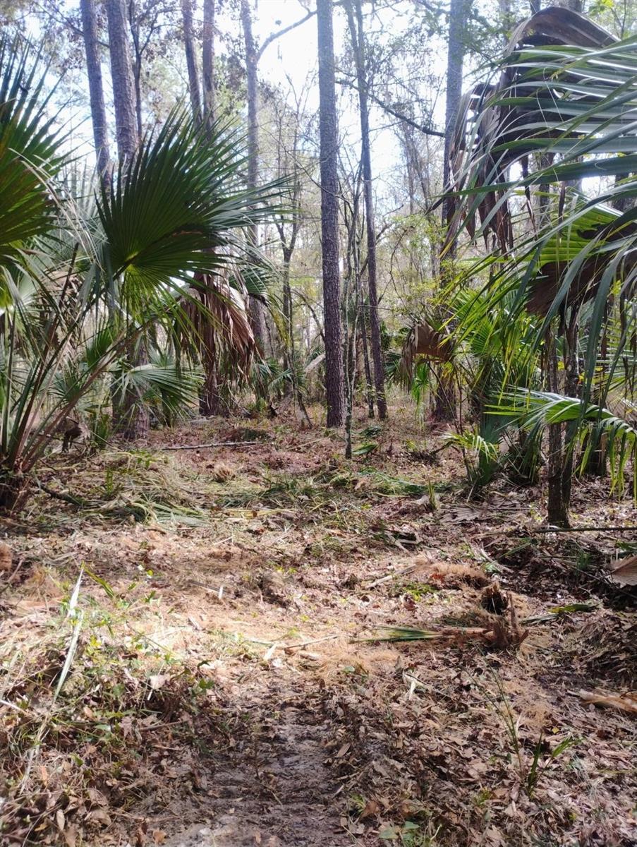 Image 5 of 9 For 18954 County Rd 329