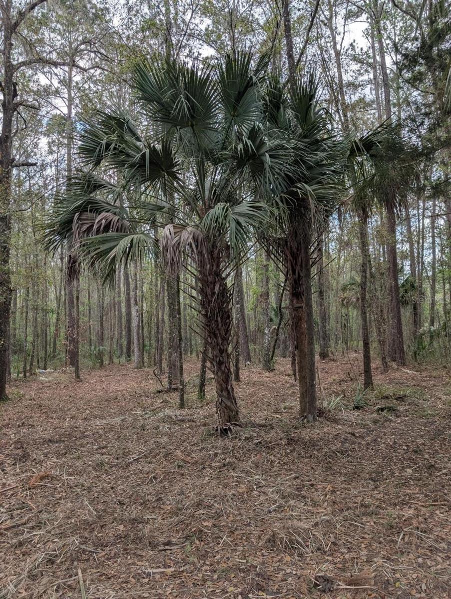 Image 7 of 9 For 18954 County Rd 329