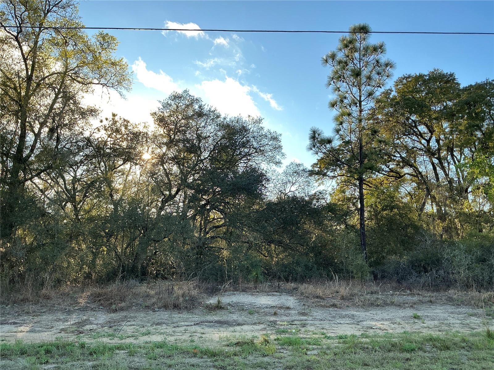 Details for 0 Azaleta Court, OCALA, FL 34471