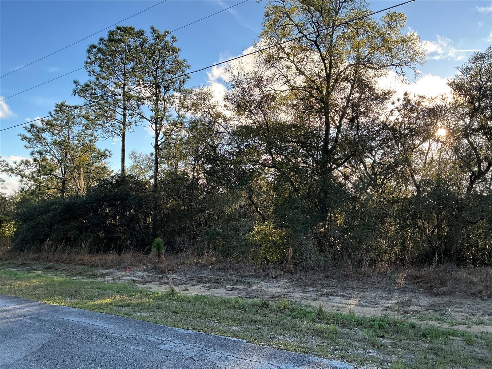 Image 3 of 6 For 0 Azaleta Court