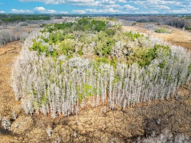 Image 10 of 26 For 11535 Mattioda Road