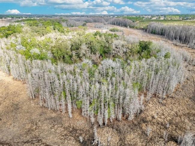 Image 11 of 26 For 11535 Mattioda Road