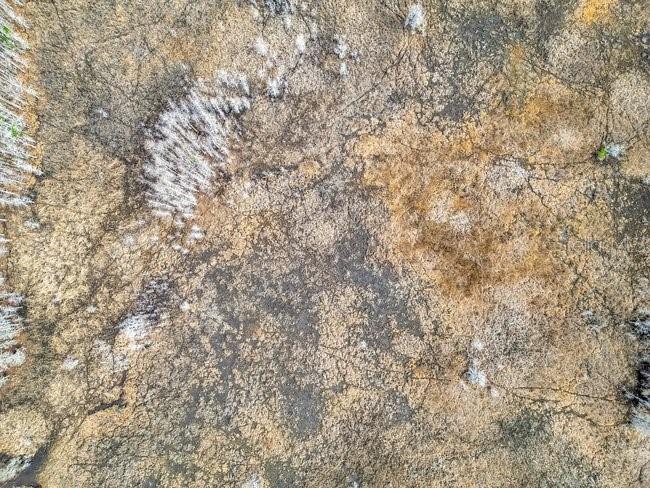 Image 12 of 26 For 11535 Mattioda Road