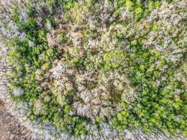 Image 13 of 26 For 11535 Mattioda Road