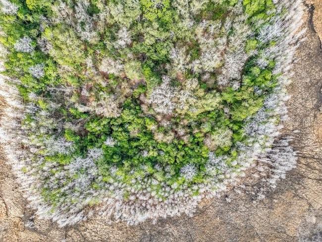 Image 14 of 26 For 11535 Mattioda Road