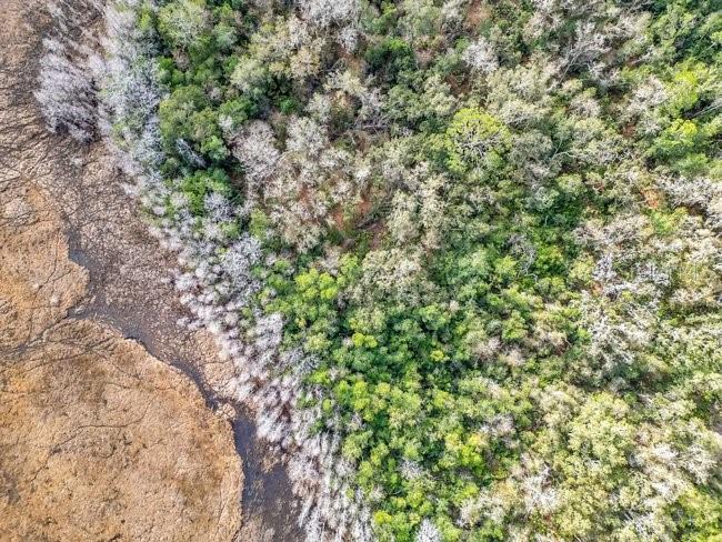 Image 18 of 26 For 11535 Mattioda Road