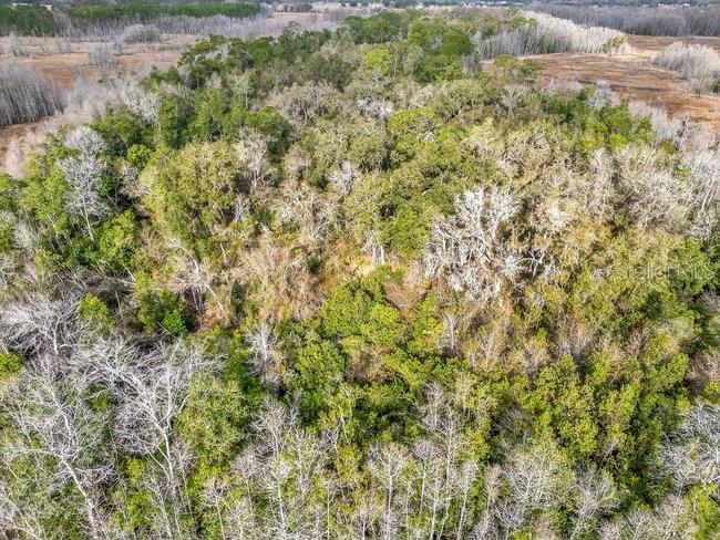 Image 9 of 26 For 11535 Mattioda Road