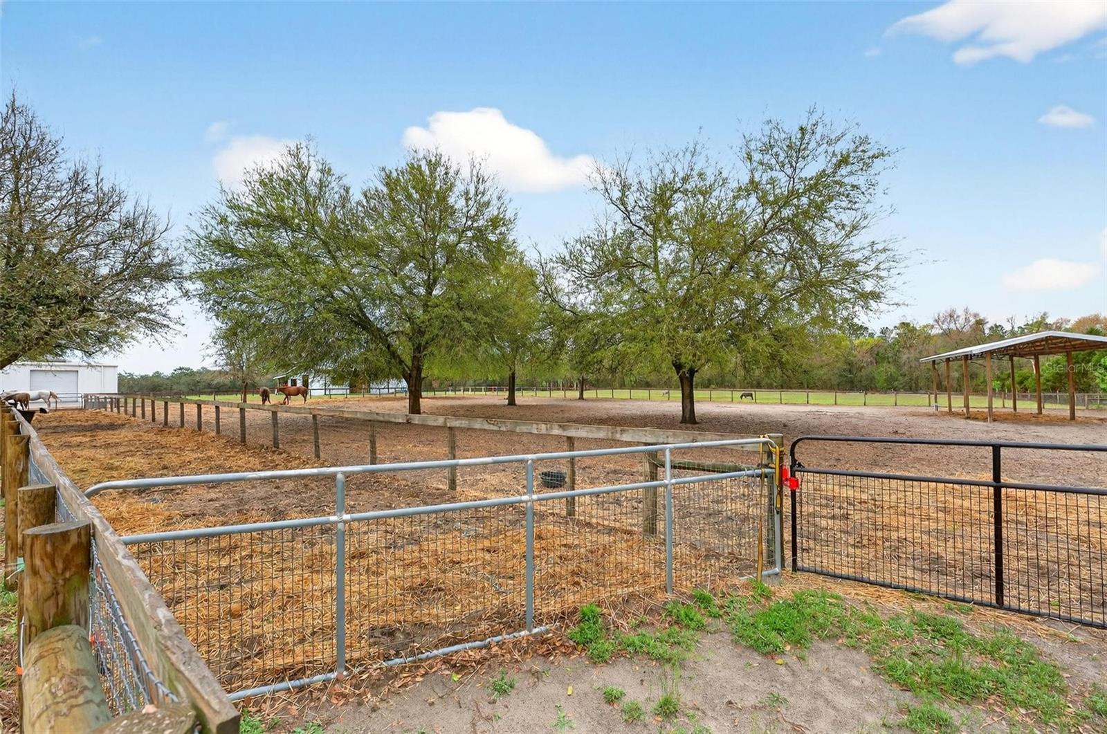 Image 66 of 100 For 12650 98th Lane