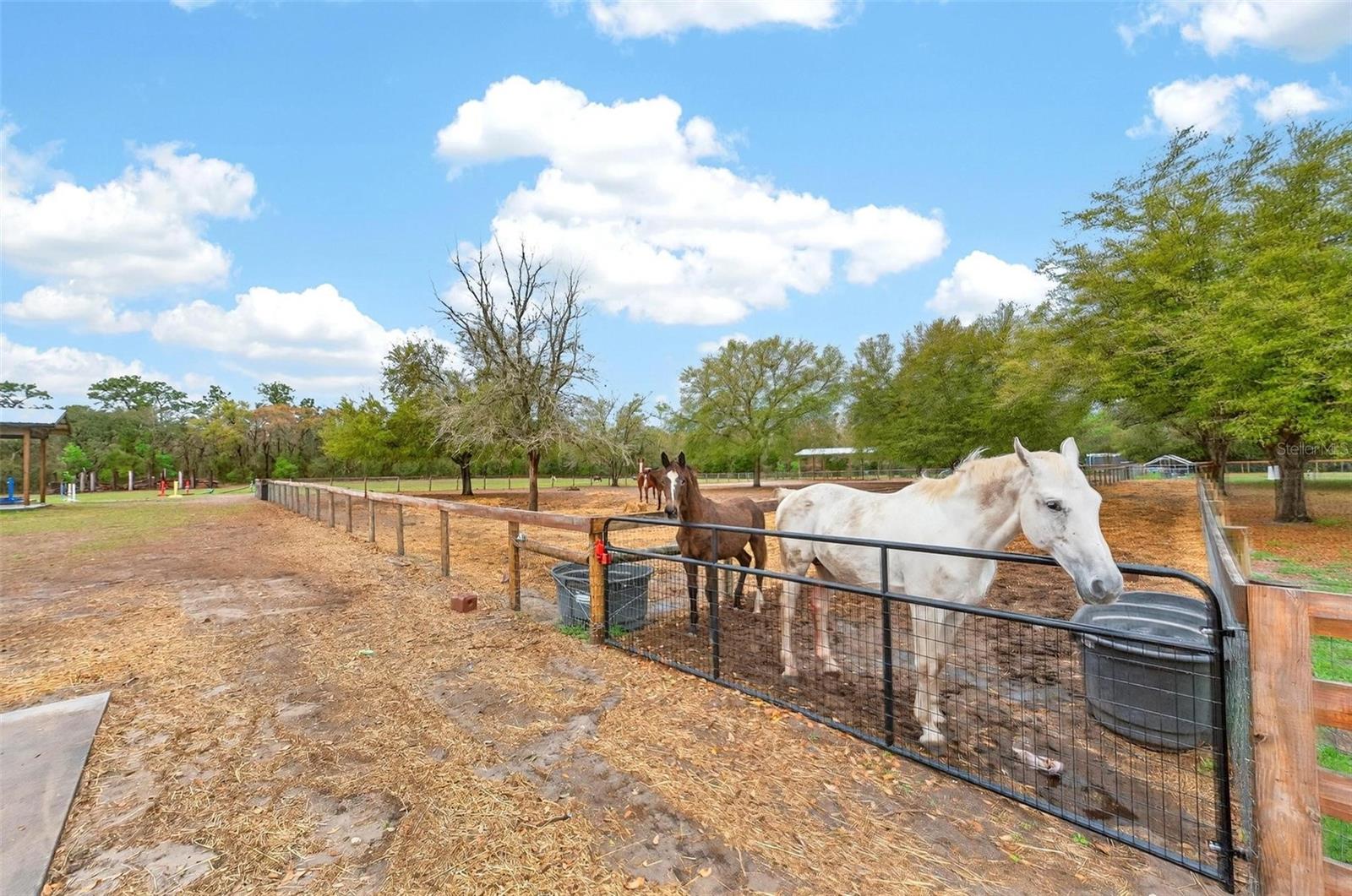 Image 77 of 100 For 12650 98th Lane