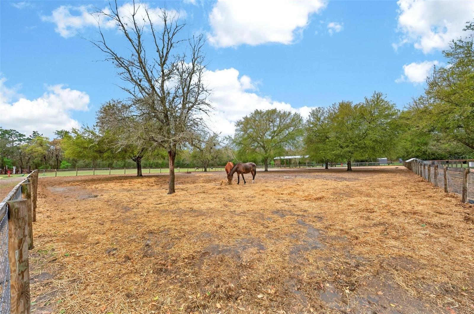 Image 78 of 100 For 12650 98th Lane