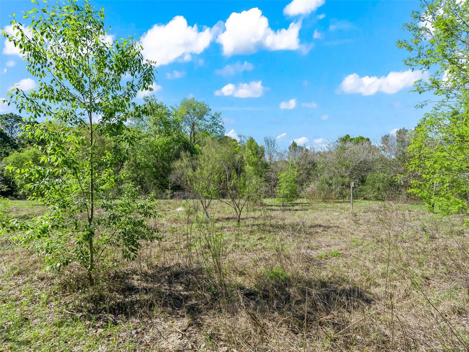 Image 39 of 41 For 10120 71st Court