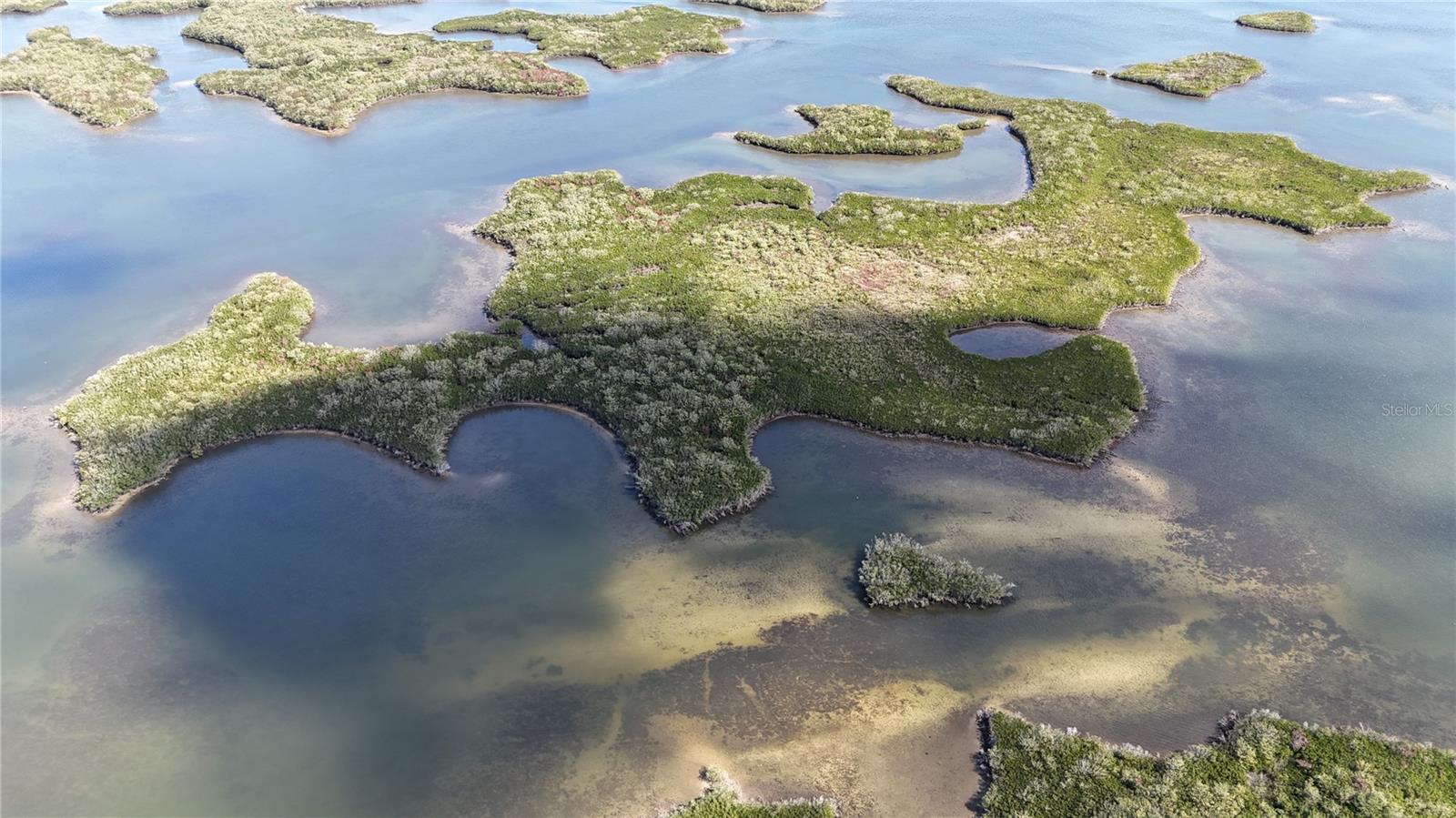 Image 11 of 59 For Address Not Provided