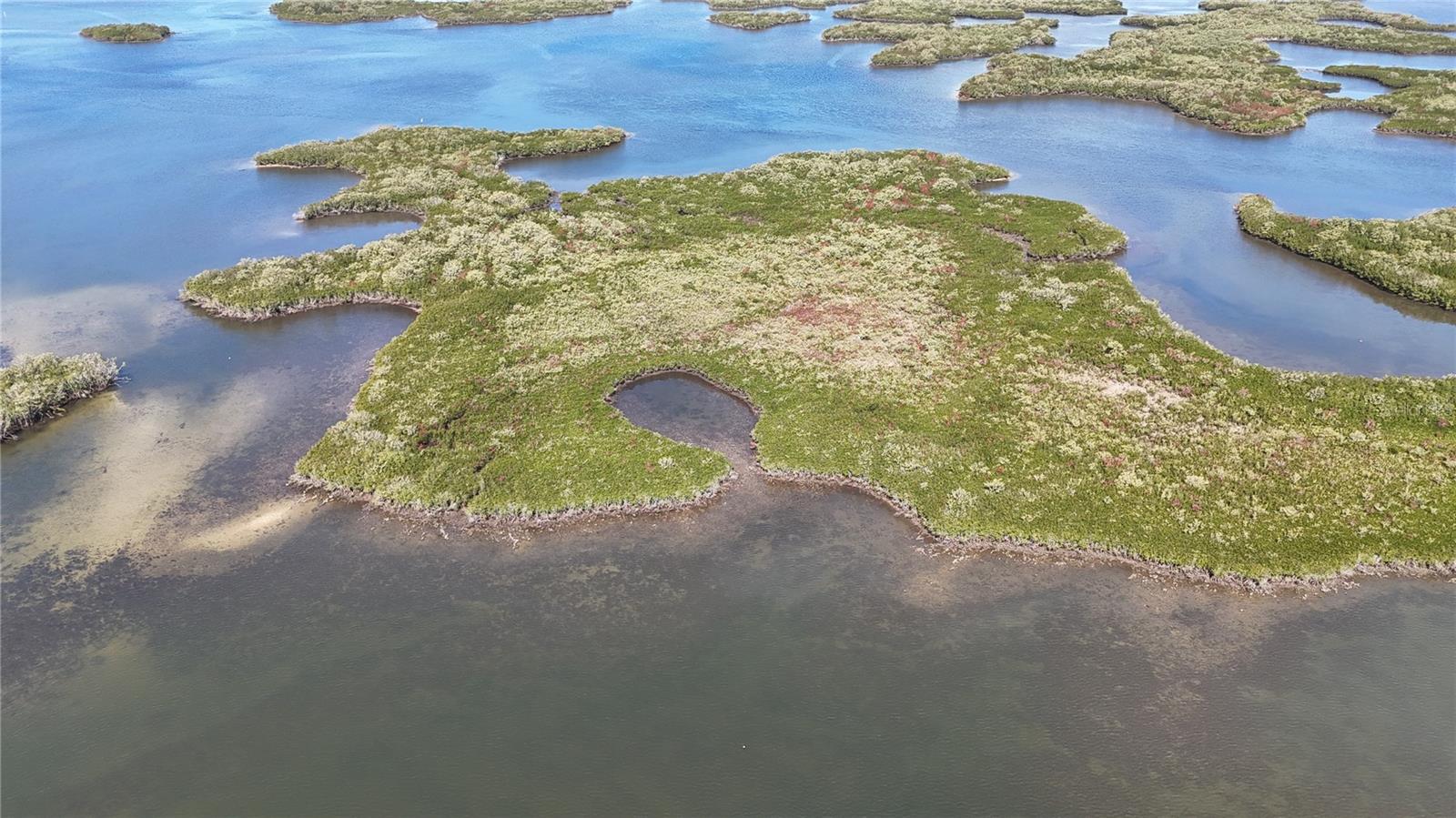 Image 14 of 59 For Address Not Provided