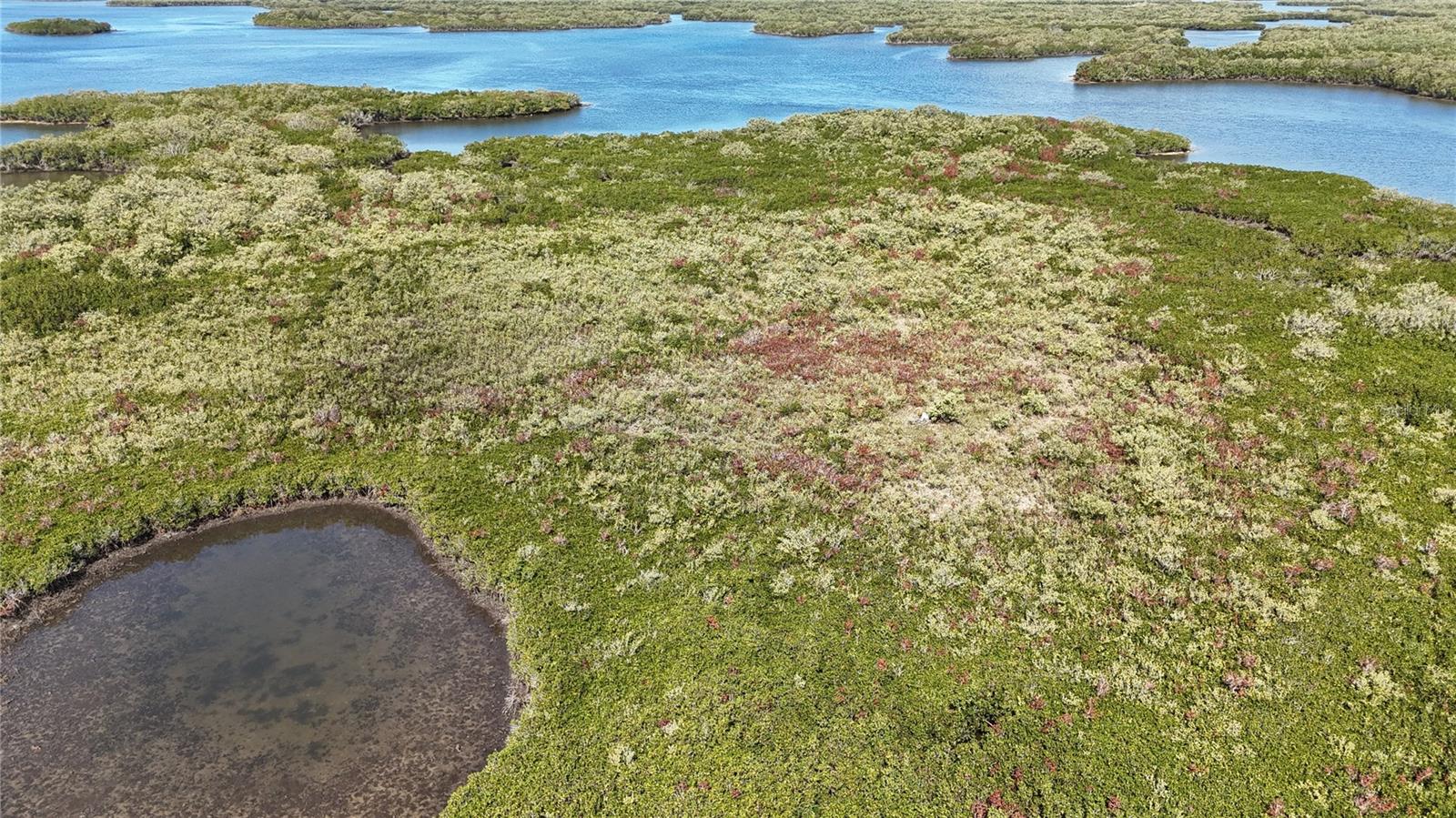 Image 15 of 59 For Address Not Provided