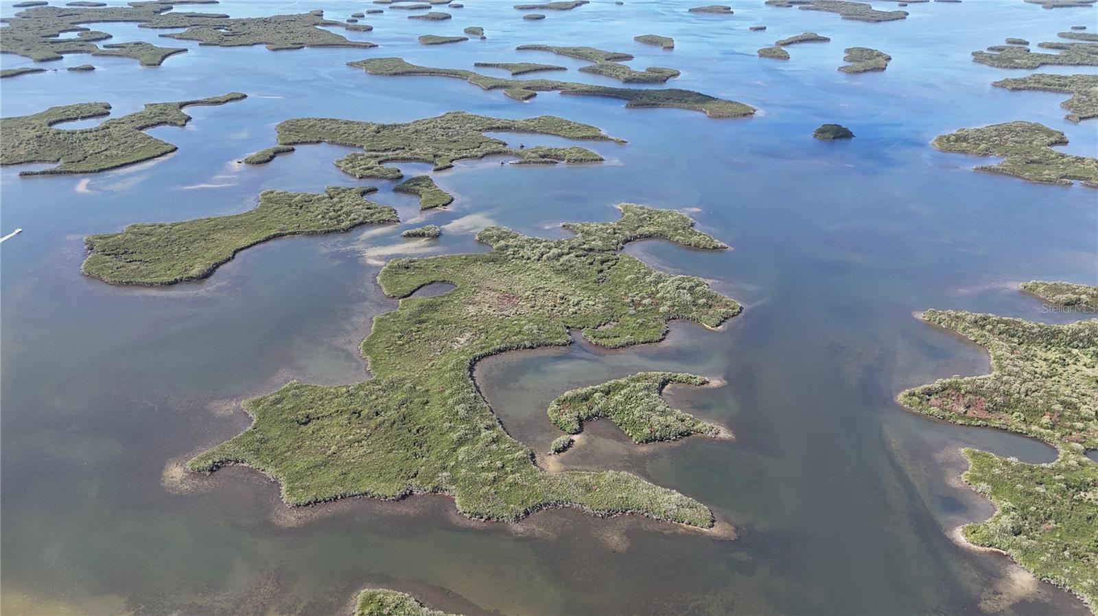 Image 2 of 59 For Address Not Provided