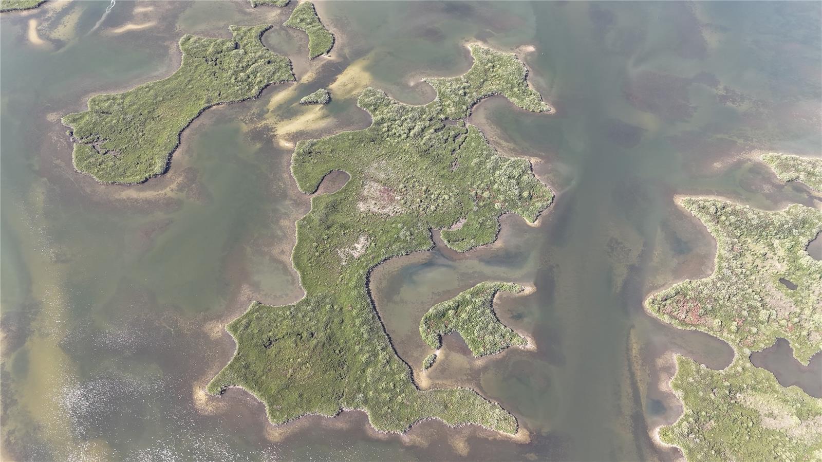 Image 3 of 59 For Address Not Provided