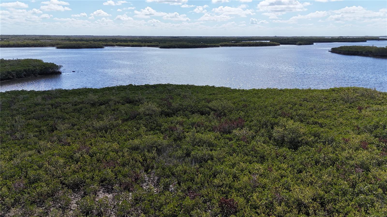 Image 35 of 59 For Address Not Provided