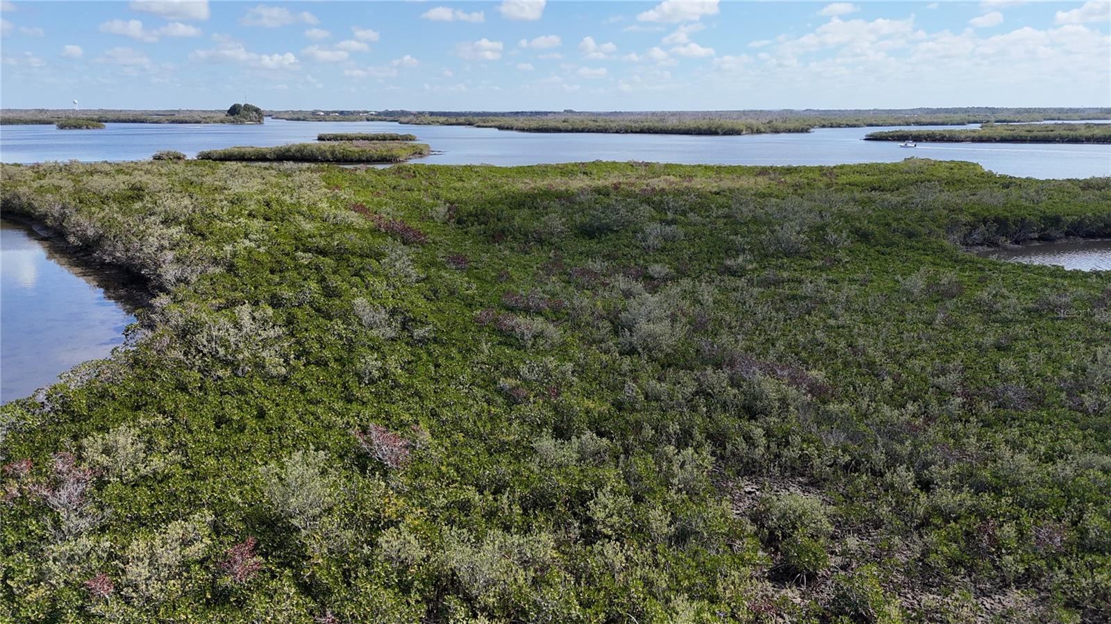 Image 36 of 59 For Address Not Provided