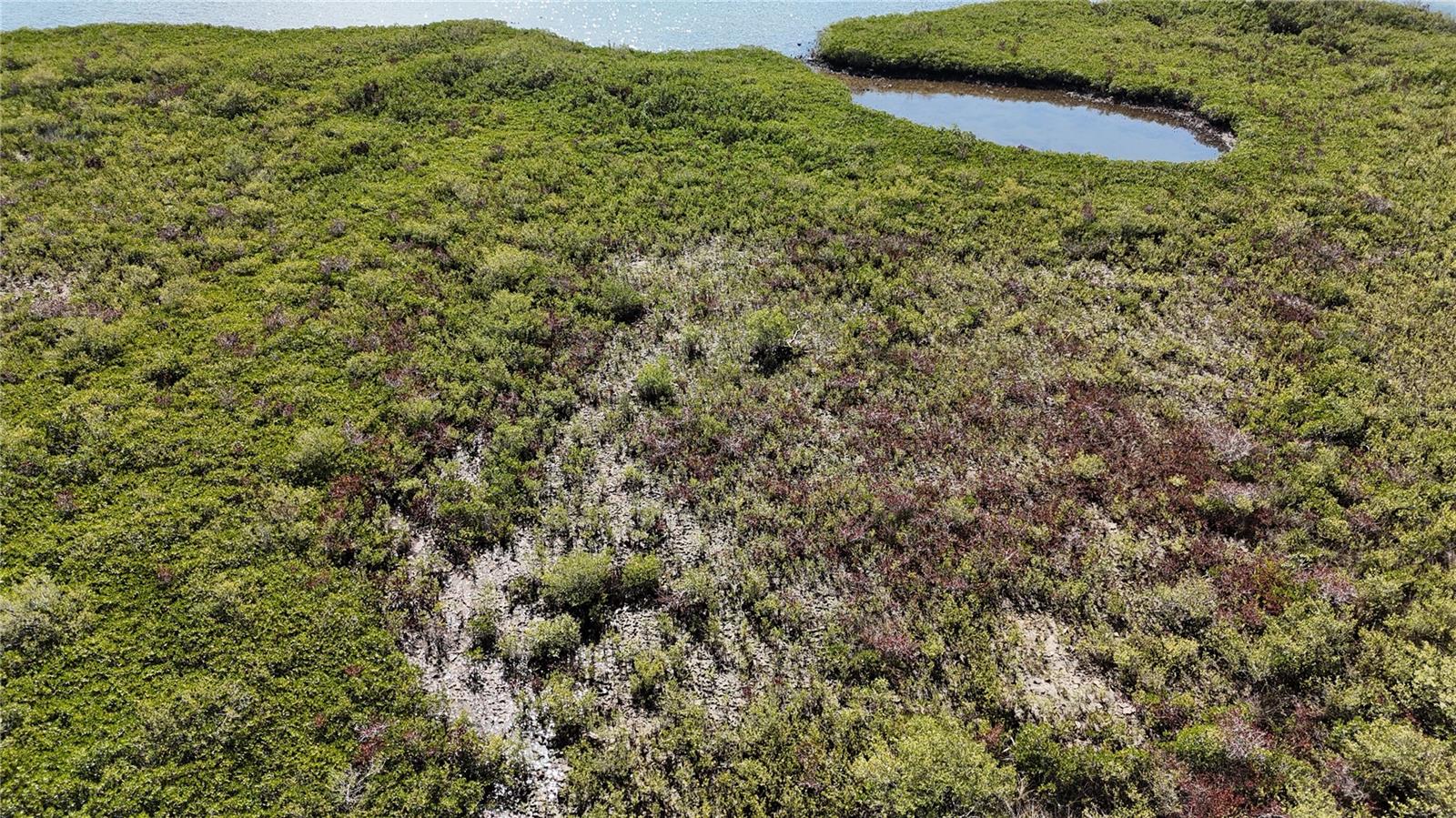 Image 37 of 59 For Address Not Provided