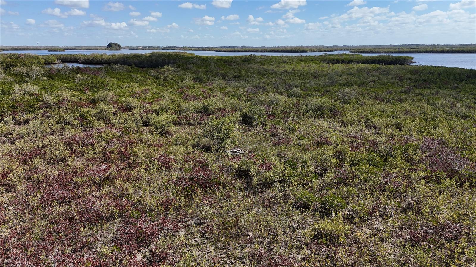 Image 38 of 59 For Address Not Provided