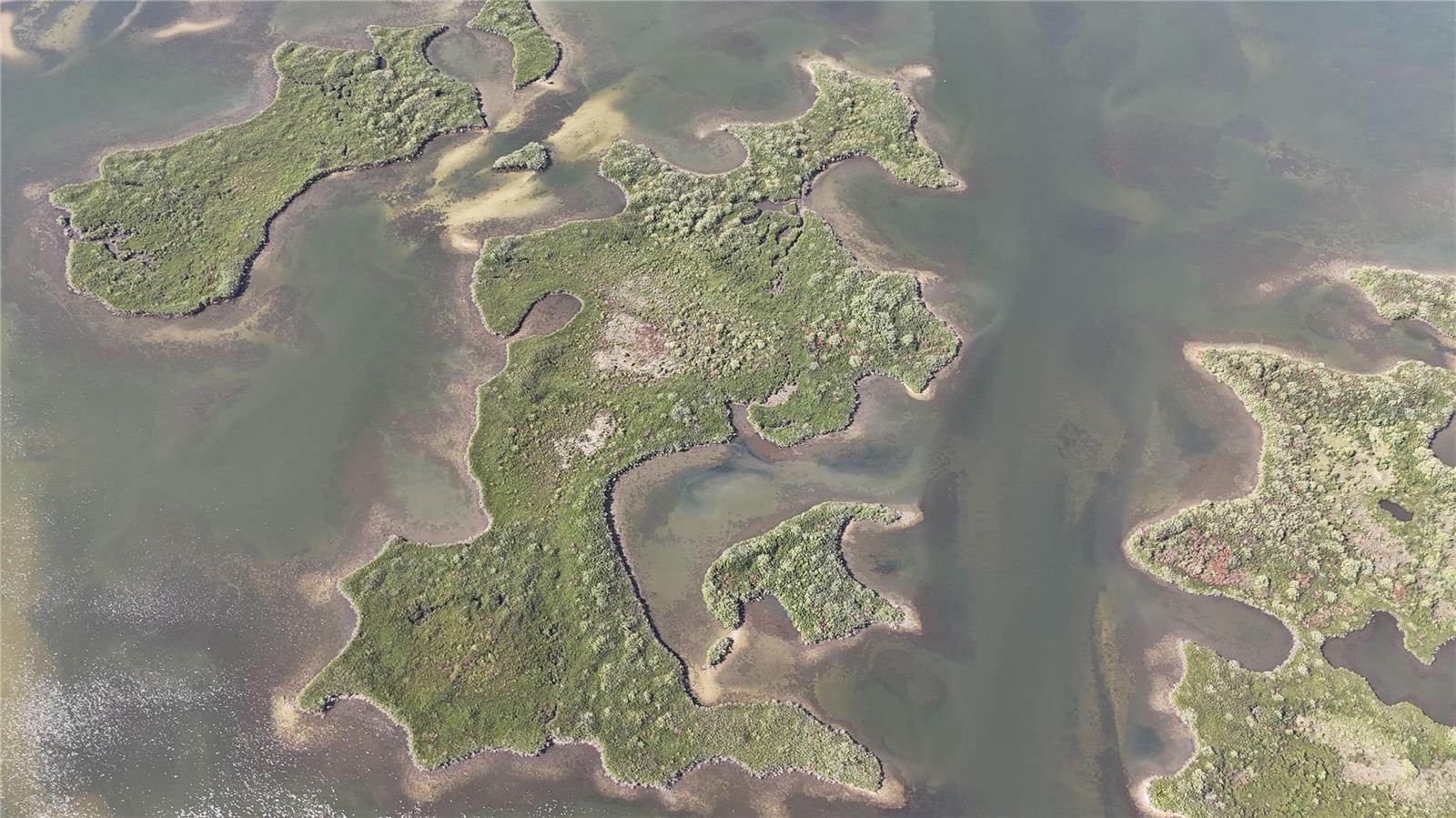 Image 4 of 59 For Address Not Provided