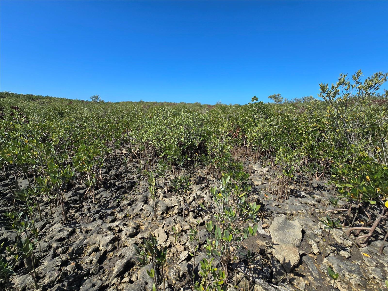 Image 42 of 59 For Address Not Provided