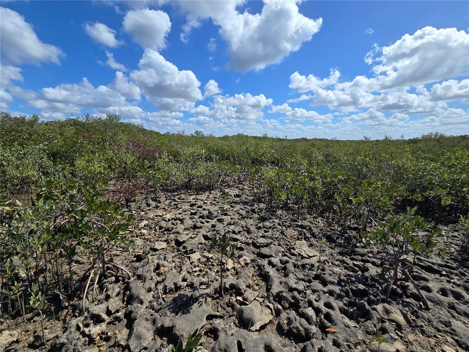 Image 43 of 59 For Address Not Provided