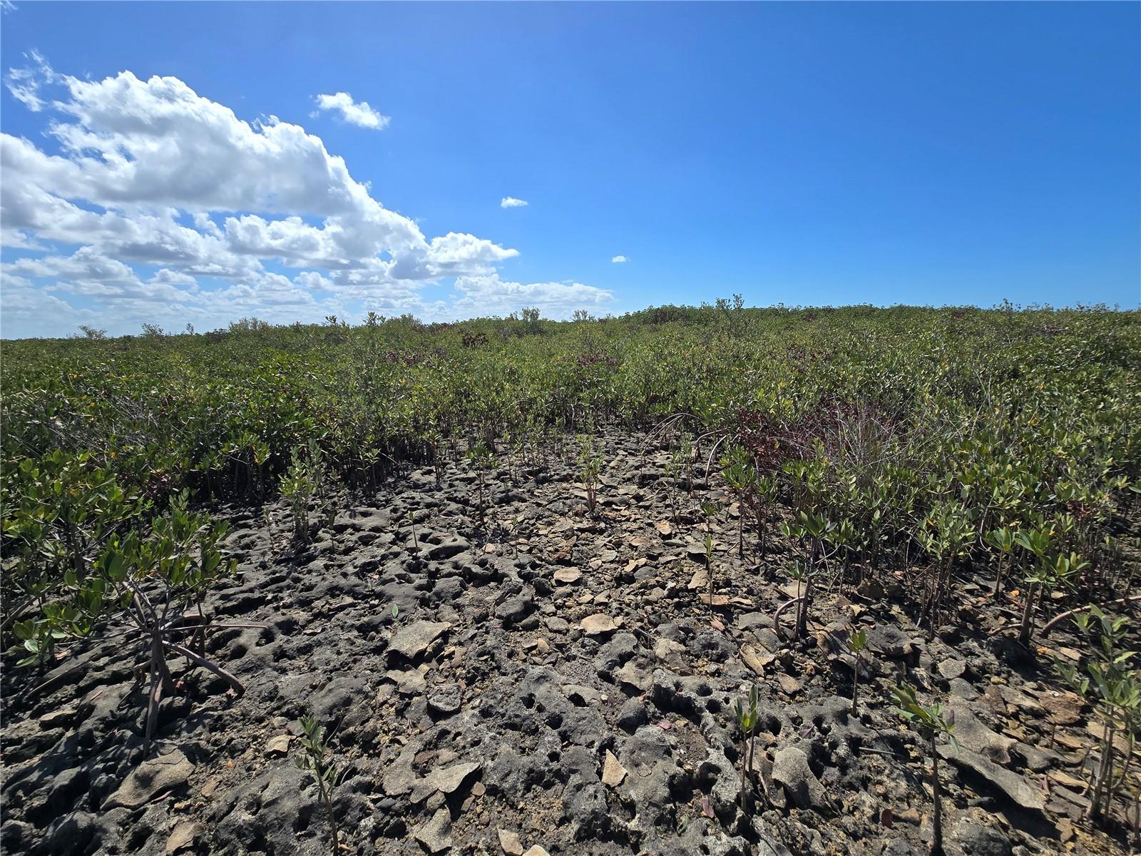 Image 44 of 59 For Address Not Provided