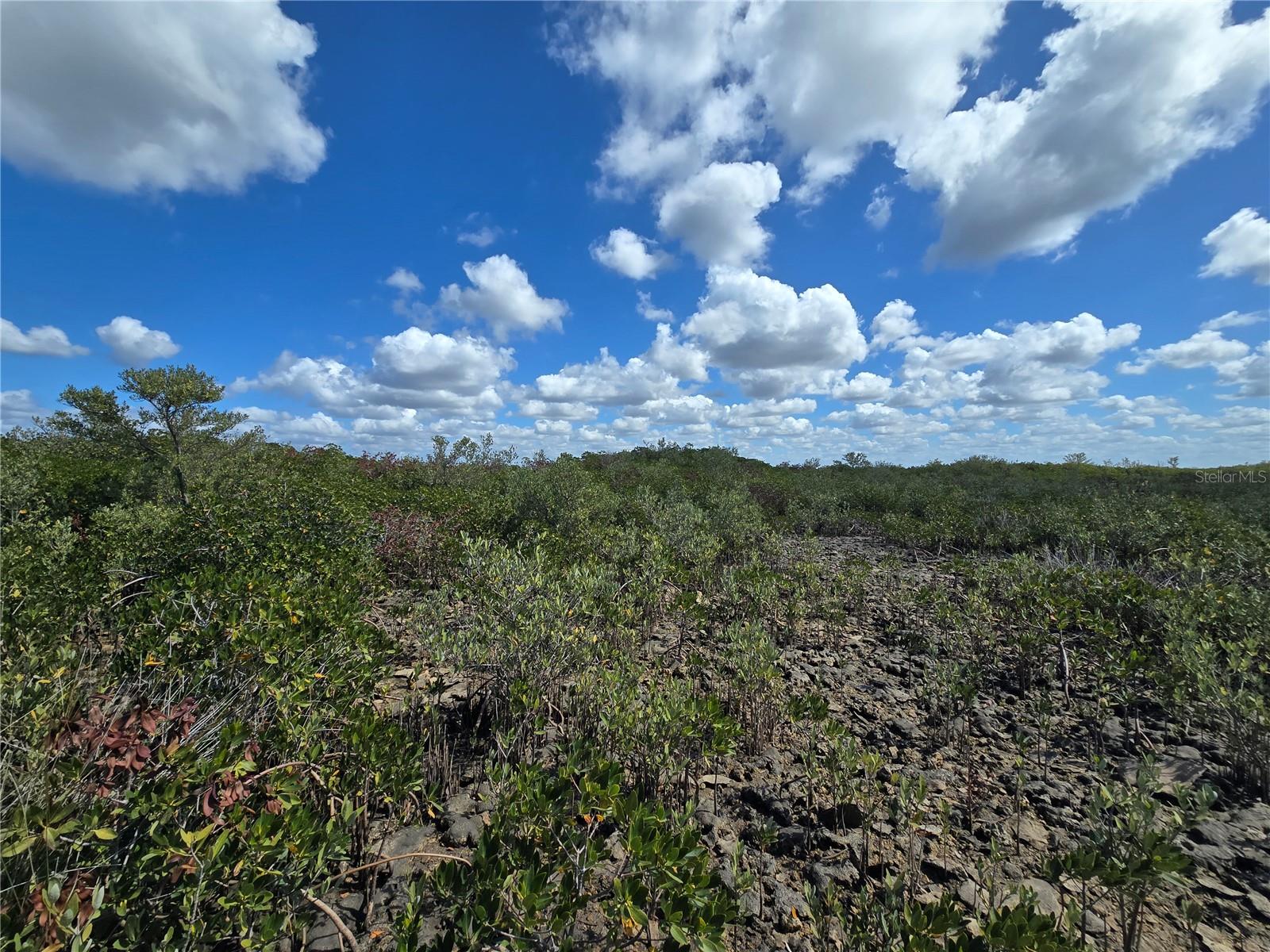 Image 46 of 59 For Address Not Provided