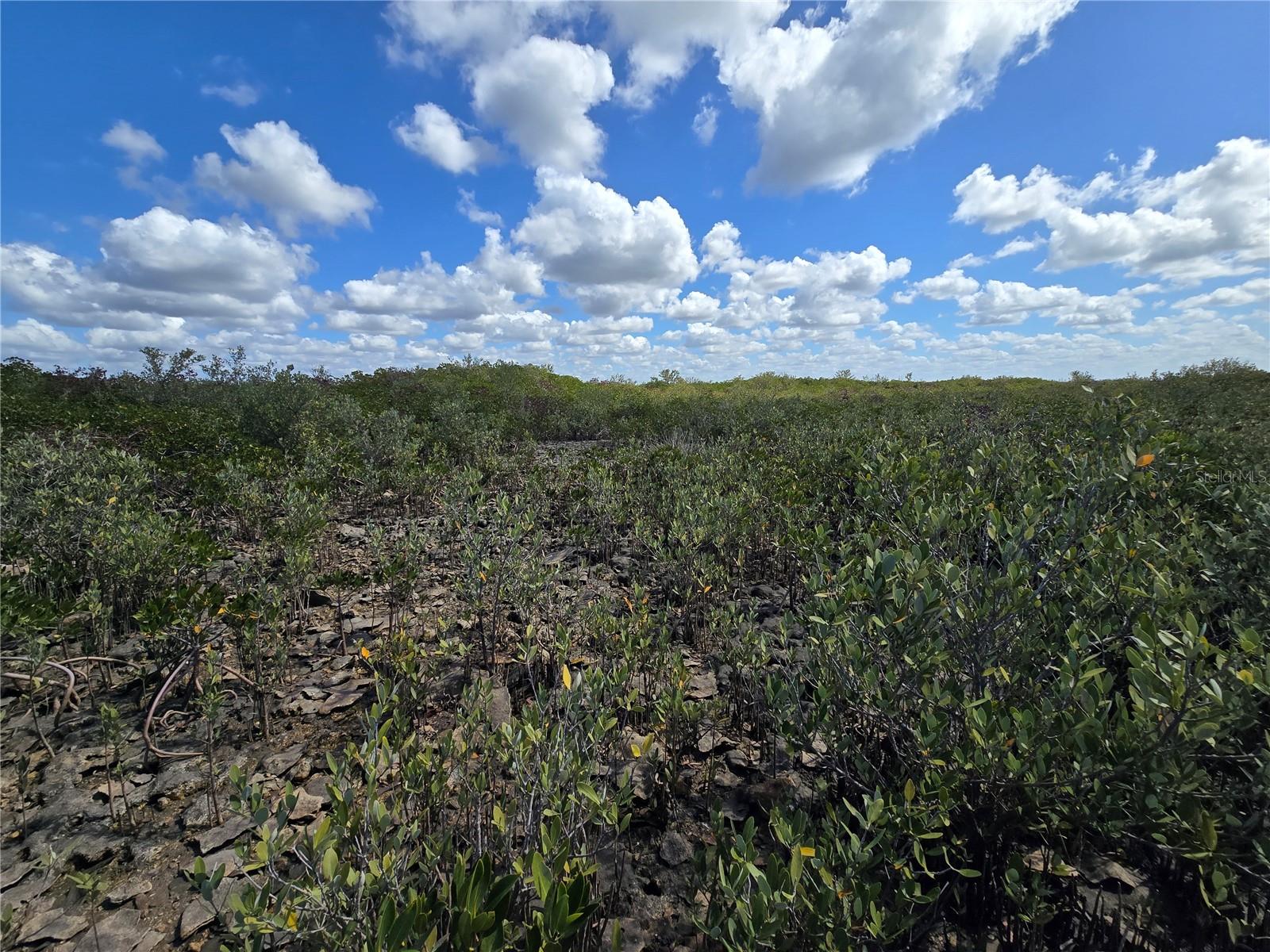 Image 47 of 59 For Address Not Provided