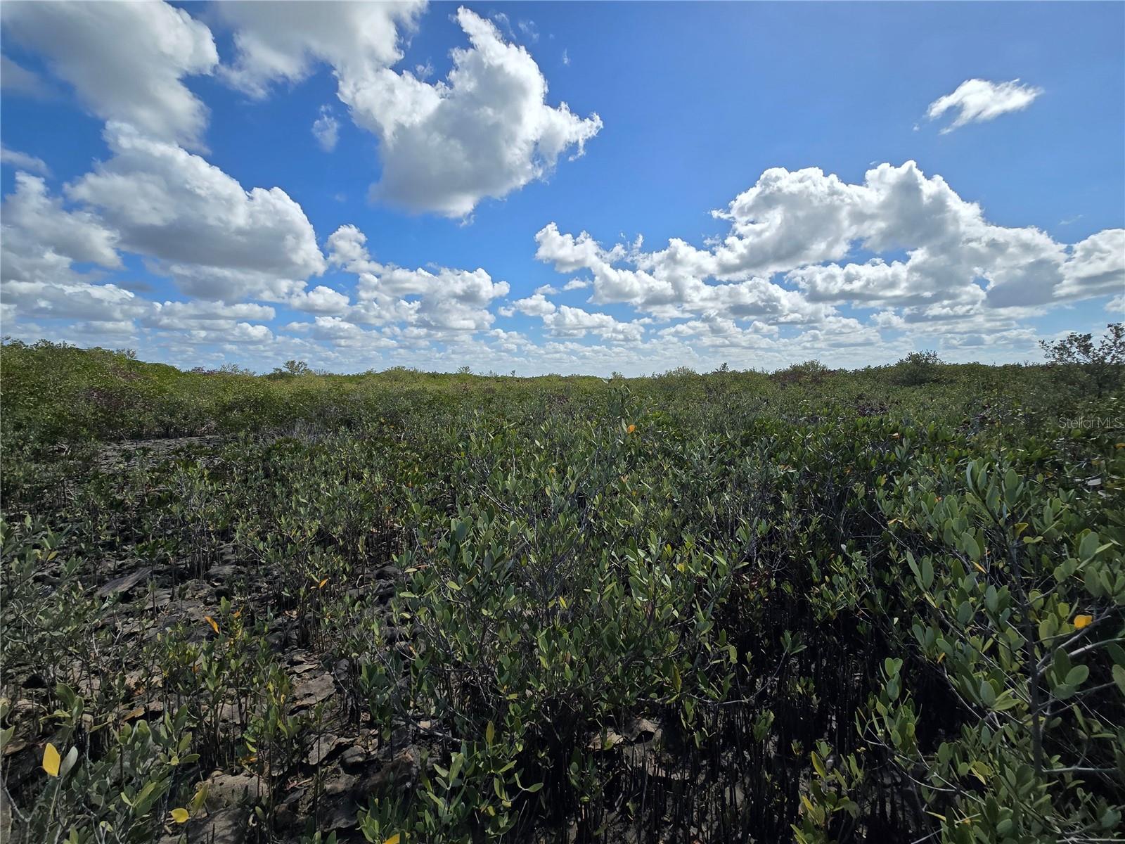 Image 48 of 59 For Address Not Provided